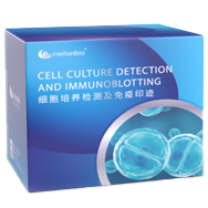 Annexin V-FITC/PI Apoptosis Detection Kit