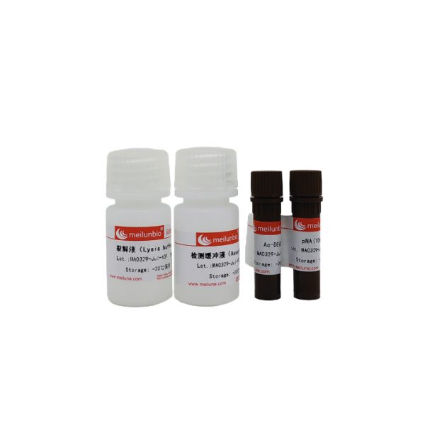 Caspase 3 Activity Assay Kit