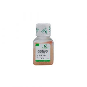 T-Cell Culture Supplement with ConA (IL-2 Culture Supplement), Rat