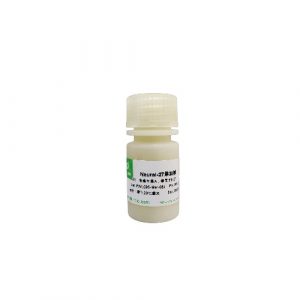 B-27 supplement (50X), serum free