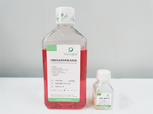 T Cell Expansion Medium, Serum-free, Xeno-free