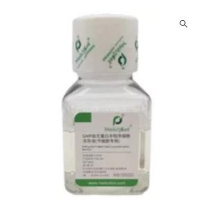GMP Grade Protein-Free Cryopreservation Medium (Specialized for Stem Cells)
