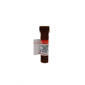 Fura-2 AM(Calcium Ion Fluorescent Probe)