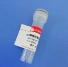 Singlet Oxygen Sensor Green Reagent (Meilunbio)