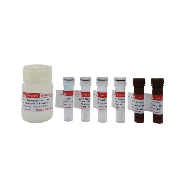 EdU Cell Proliferation Kit with Alexa Fluor 488 (Suitable for FACS、FM)