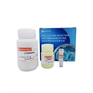 Enhanced ATP Assay Kit