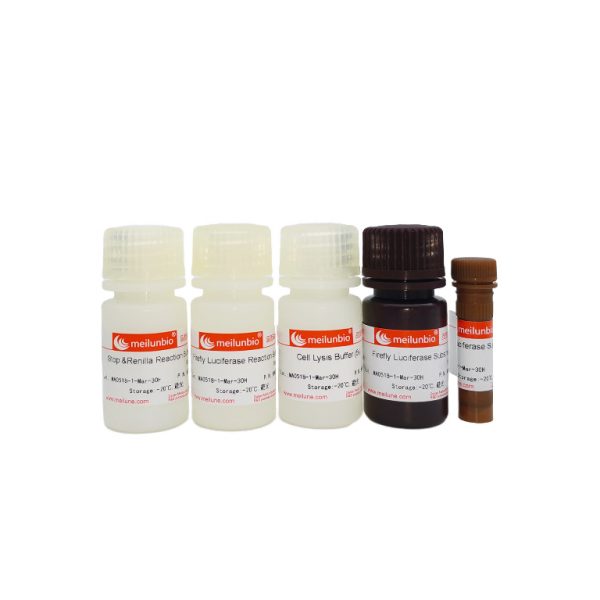 Firefly & Renilla Luciferase Reporter Assay Kit