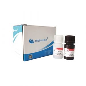 FIREFLYGLO Luciferase Reporter Assay Kit