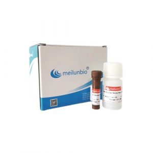 Nano-Light Luciferase Reporter Assay Kit