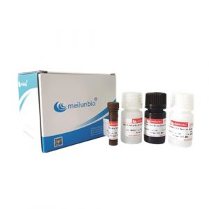 Nano & Firefly-Glo Luciferase Reporter Assay Kit