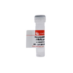 Meilunbio Liposomal Gene Transfection Reagent