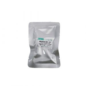 LysoTracker Green DND-26
