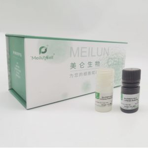 Bio-FIREFLYGLO Luciferase Reporter Assay Kit