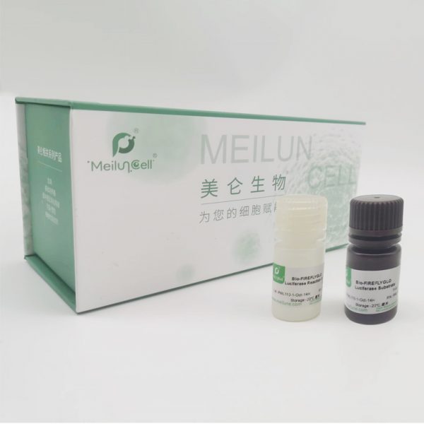 Bio-FIREFLYGLO Luciferase Reporter Assay Kit
